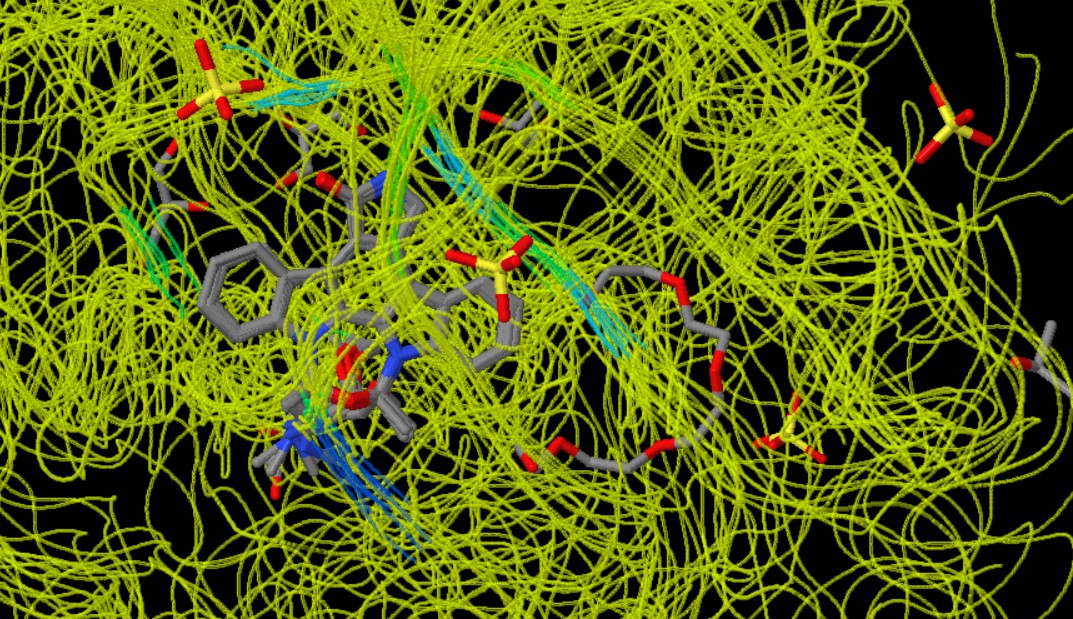 Staurosporine Interactions